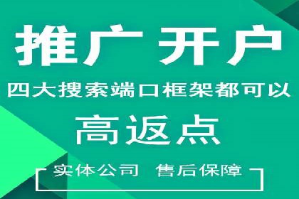 百度竞价包年推广策略——某行业巨头的成功经验